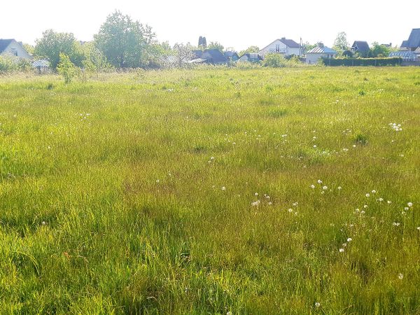 Klaipėdos r. sav., Dercekliai