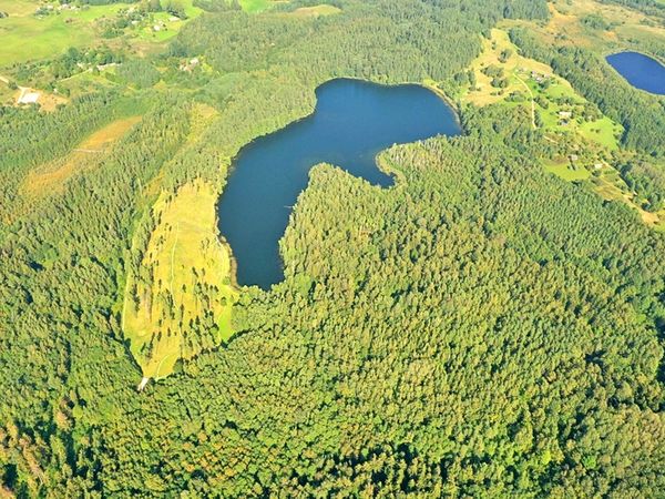 Švenčionių r. sav., Darinė