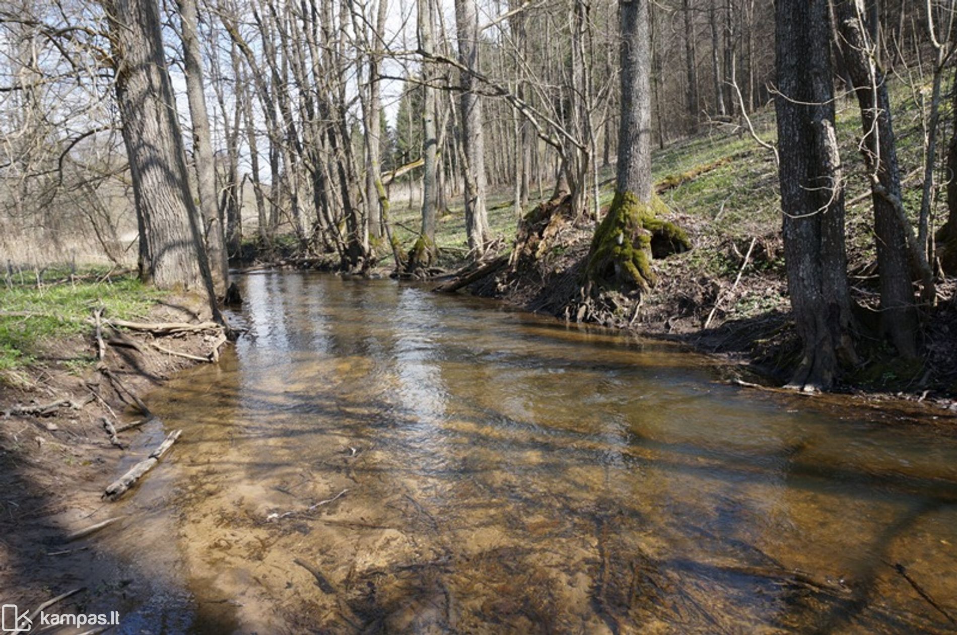 Main Image Švenčionių r. sav., Kirkučiai