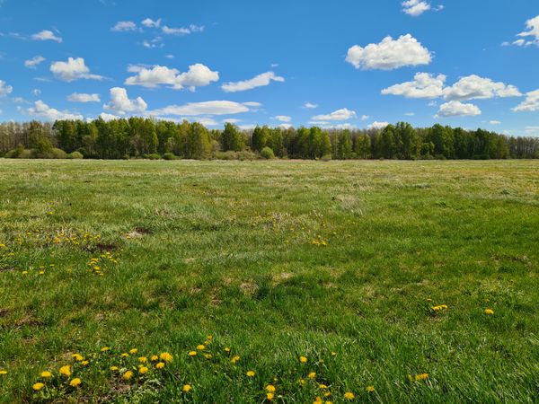 Marijampolės sav., Valavičiai