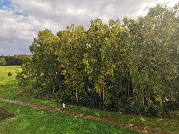 Akmenės r. sav., Naujoji Akmenė