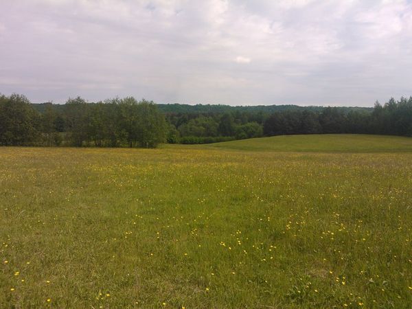 Šakių r. sav., Nosiedai