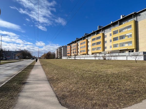 Kaunas, Dainava
