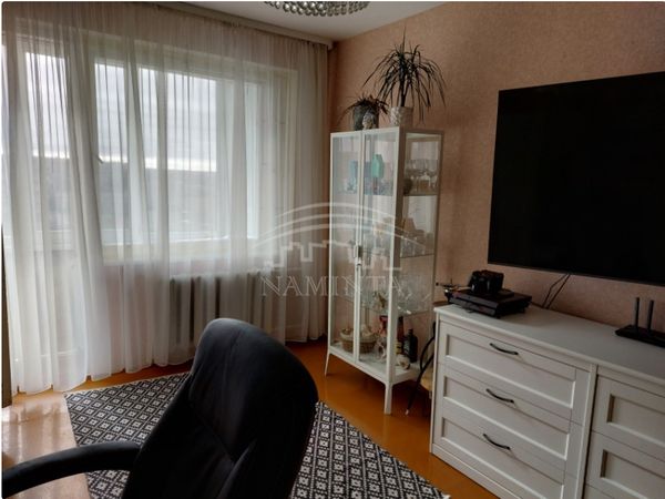 Klaipėda, Vingis