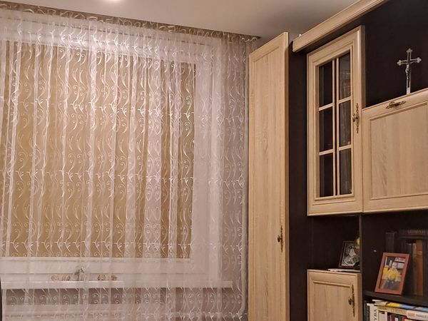 Alytus, Vidzgiris