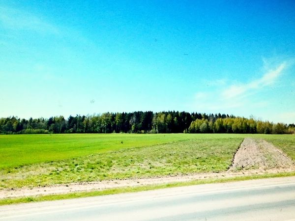 Mažeikių r. sav., Naikiai