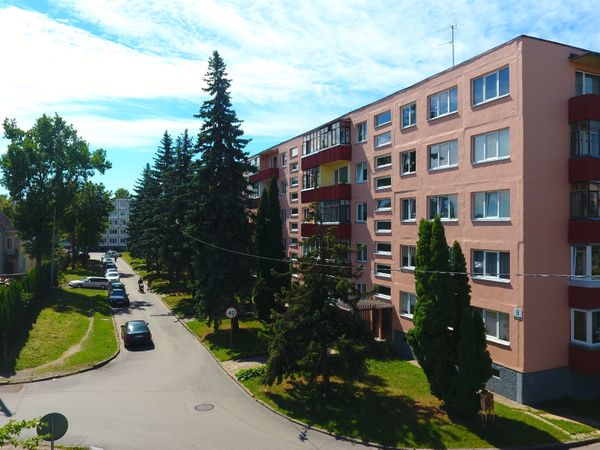 Panevėžys, Tulpės