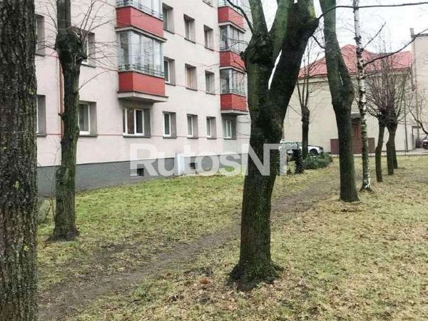 Klaipėda, Sportininkai