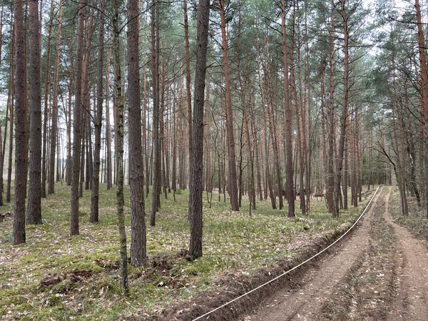 Elektrėnų sav., Vilūniškės