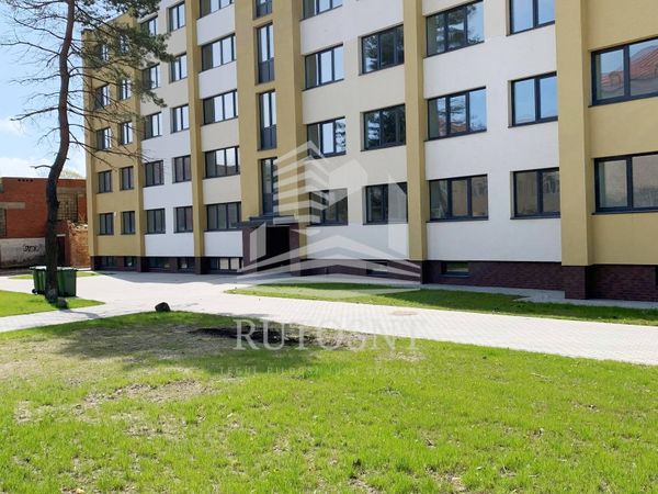 Klaipėda, Sportininkai
