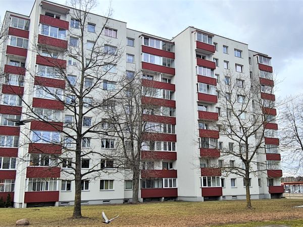 Kaunas, Eiguliai