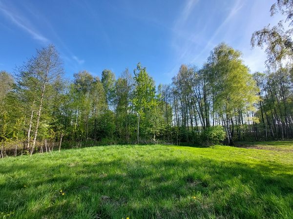 Molėtų r. sav., Antamalkėstė