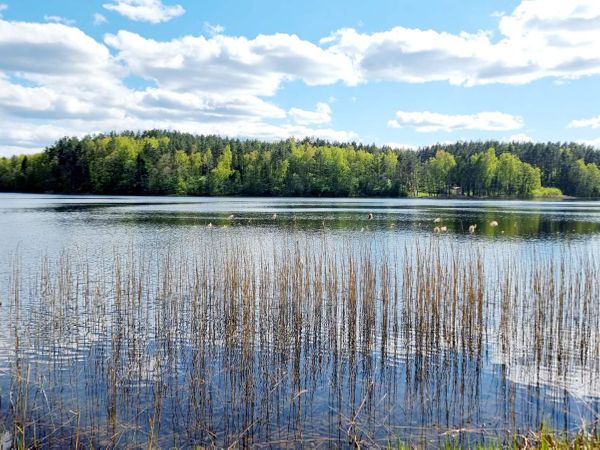 Molėtų r. sav., Pašekščiai