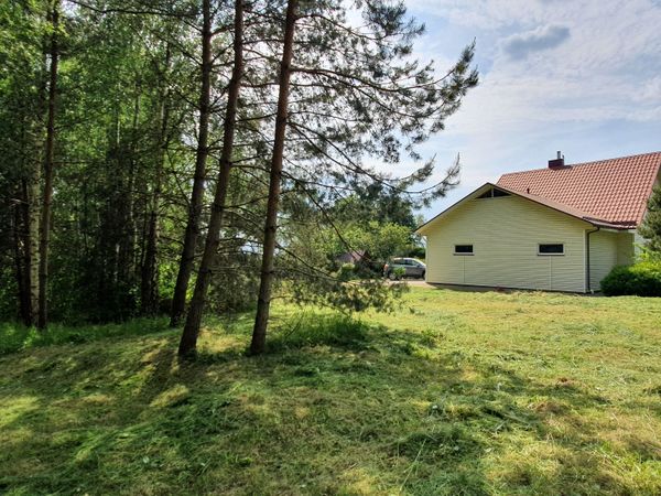 Alytus, Vidzgiris
