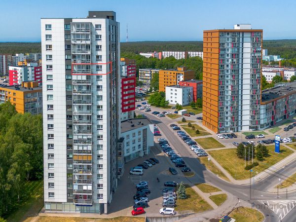 Klaipėda, Miškas