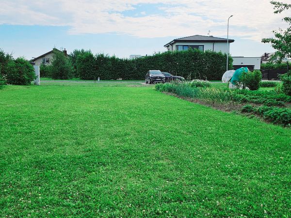 Klaipėda, Tauralaukis