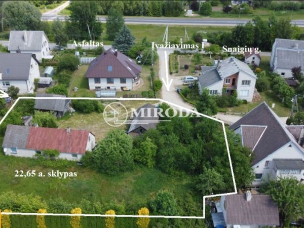 Alytus, Vidzgiris