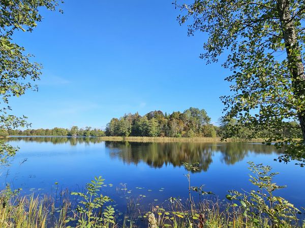 Molėtų r. sav., Narušiškis