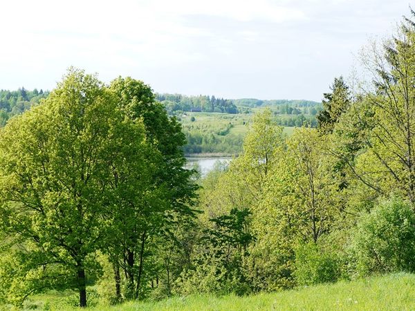Švenčionių r. sav., Kirkučiai