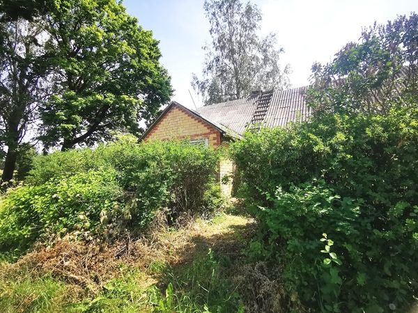 Ukmergės r. sav., Želva
