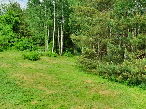 Alytus, Likiškiai