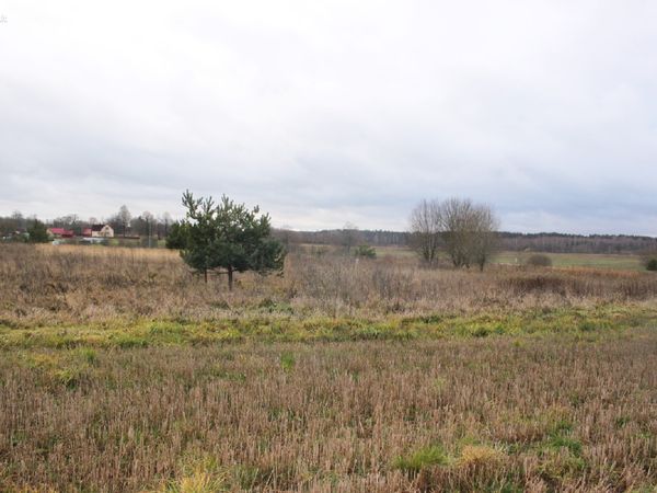 Molėtų r. sav., Arnionys II