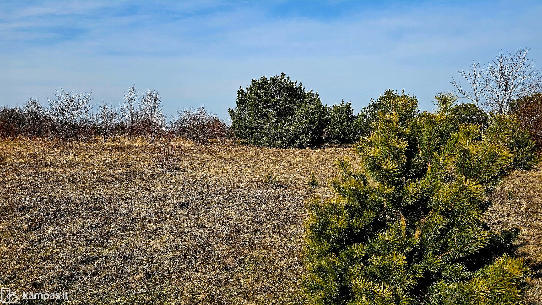 Main Image Klaipėdos r. sav., Dituva, Rudens g.