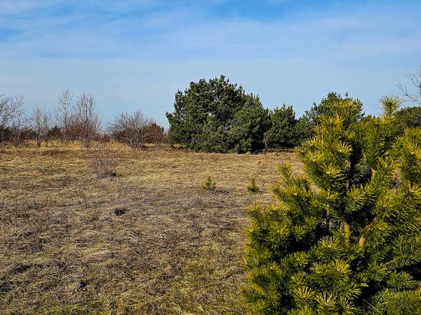 Klaipėdos r. sav., Dituva