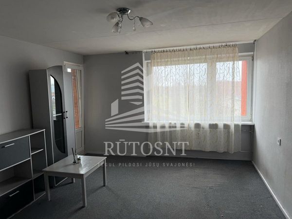 Klaipėda, Miškas
