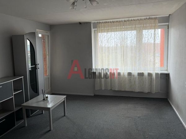 Klaipėda, Miškas