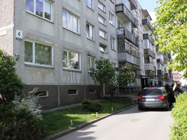 Panevėžys, Tulpės