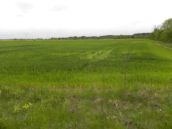 Anykščių r. sav., Pravydžiai