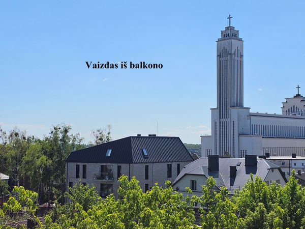 Kaunas, Žaliakalnis