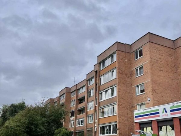 Klaipėda, Alksnynė