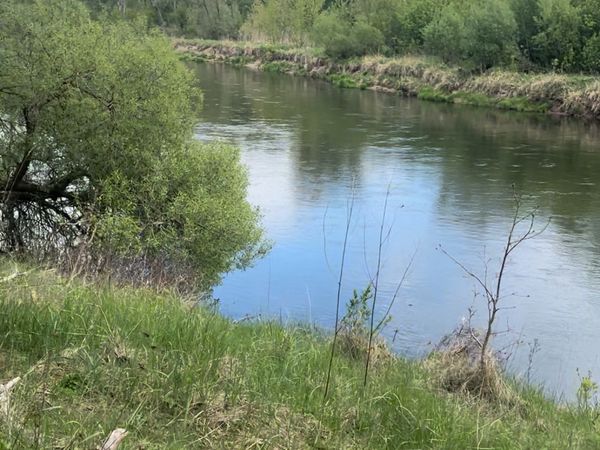 Ukmergės r. sav., Zujai