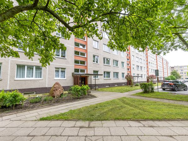 Klaipėda, Žardininkai