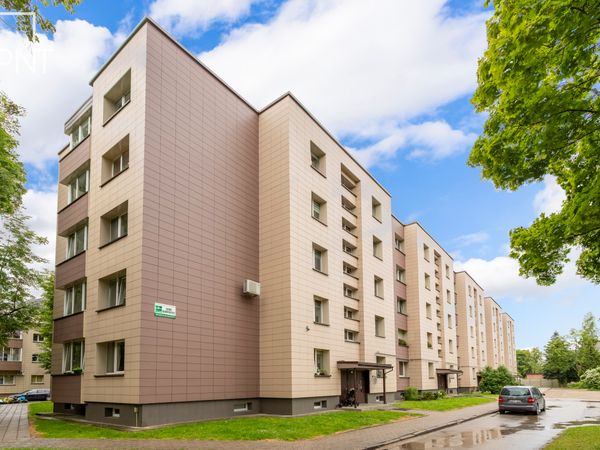 Panevėžys, Centras