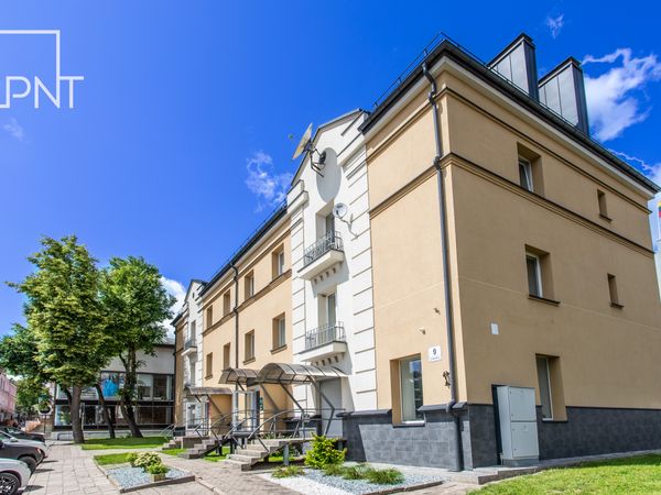 Panevėžys, Centras