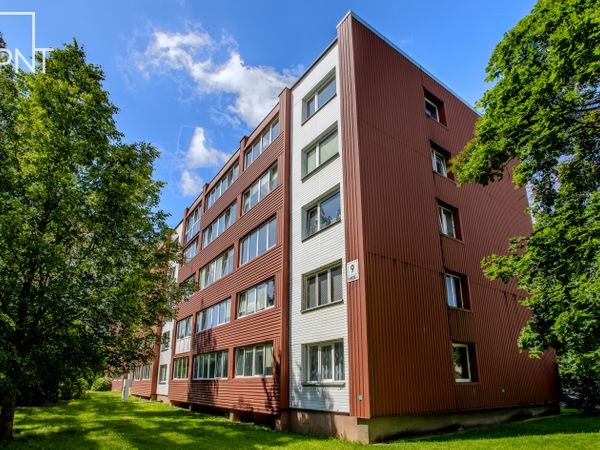 Pasvalio r. sav., Pasvalys