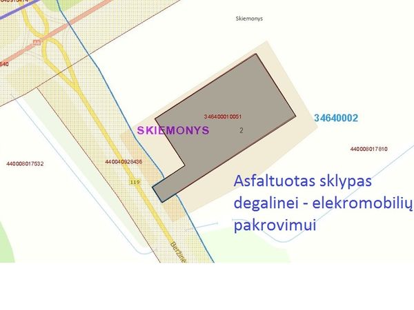 Anykščių r. sav., Skiemonys