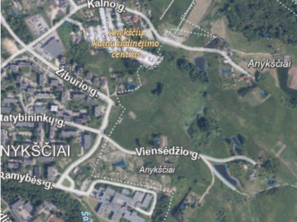 Anykščių r. sav., Anykščiai