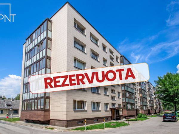 Panevėžys, Centras
