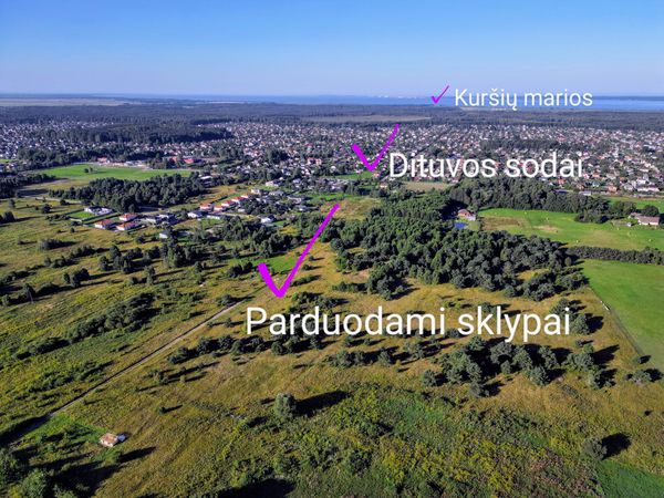 Klaipėdos r. sav., Dituva