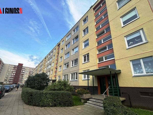 Klaipėda, Vingis