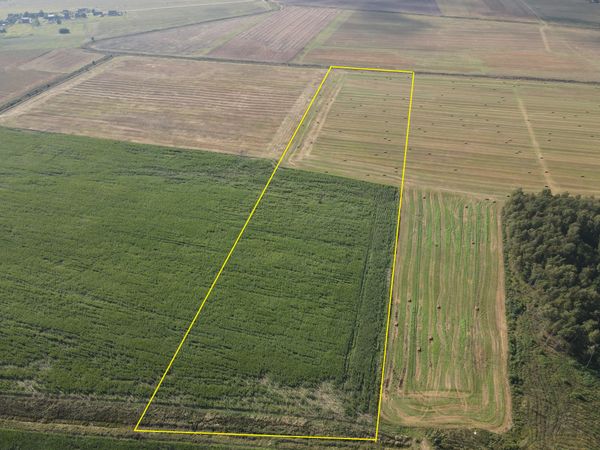 Kėdainių r. sav., Dvariškiai I