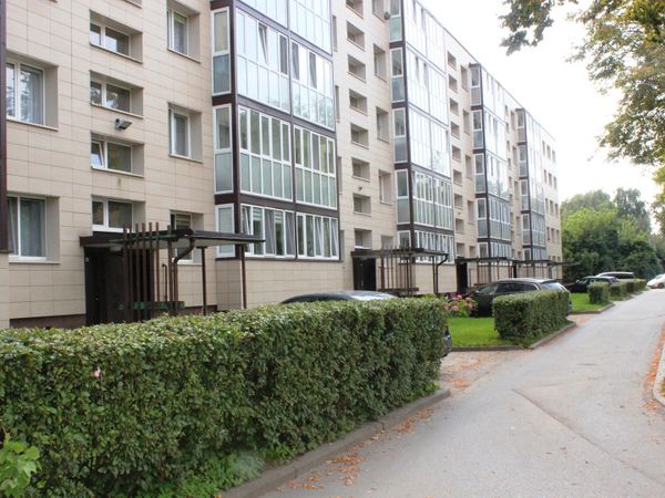Panevėžys, Centras