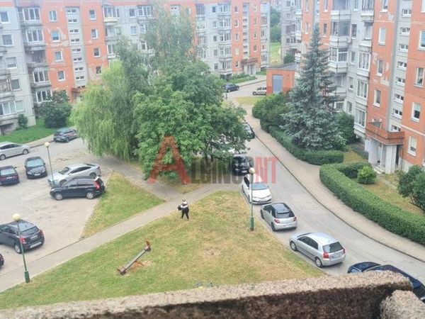 Klaipėda, Bandužiai