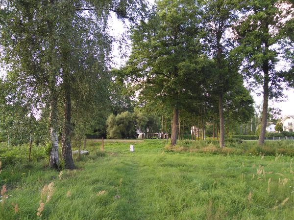 Druskininkų sav., Druskininkai