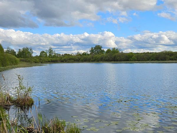 Anykščių r. sav., Narbūčiai