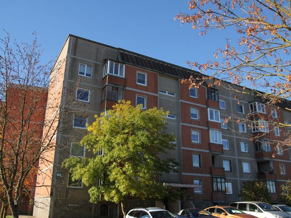 Šiauliai, Dainai